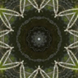 Meet your Posher, April